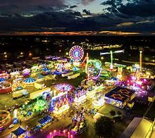 fair sex